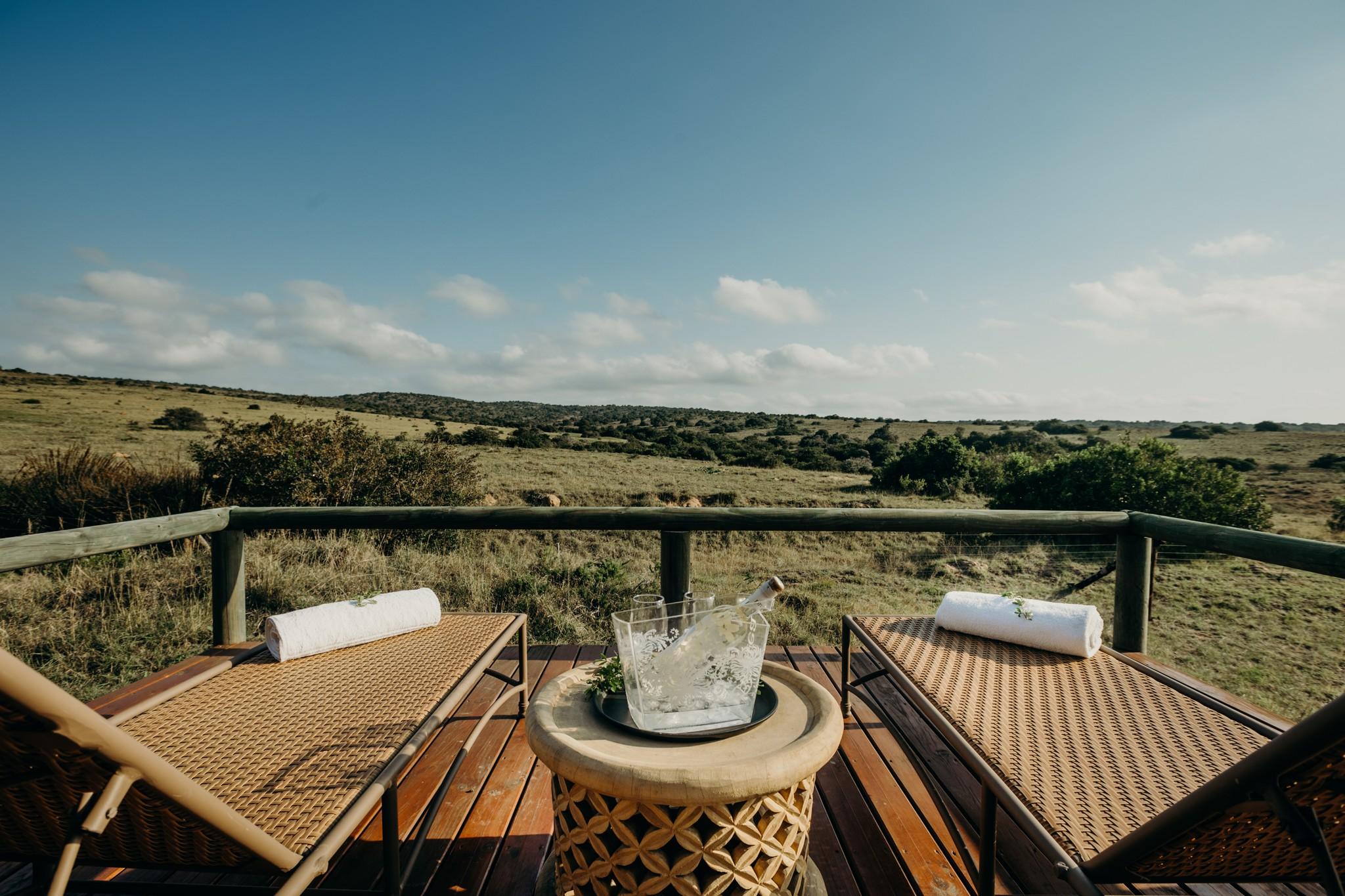 Hlosi Game Lodge - Amakhala Game Reserve Buyskloof Luaran gambar