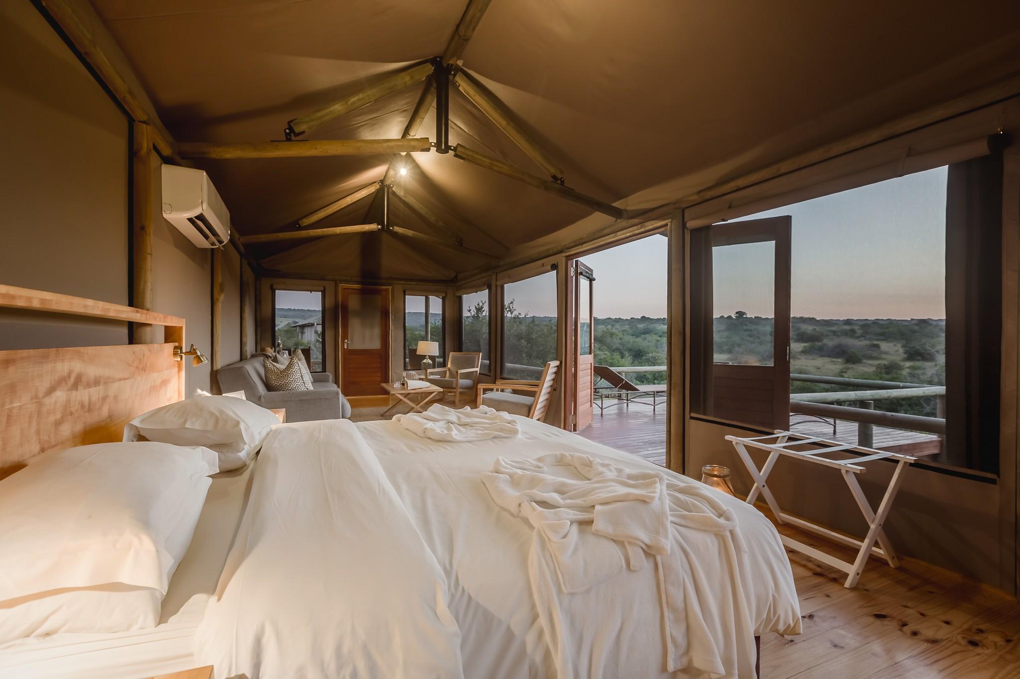 Hlosi Game Lodge - Amakhala Game Reserve Buyskloof Luaran gambar