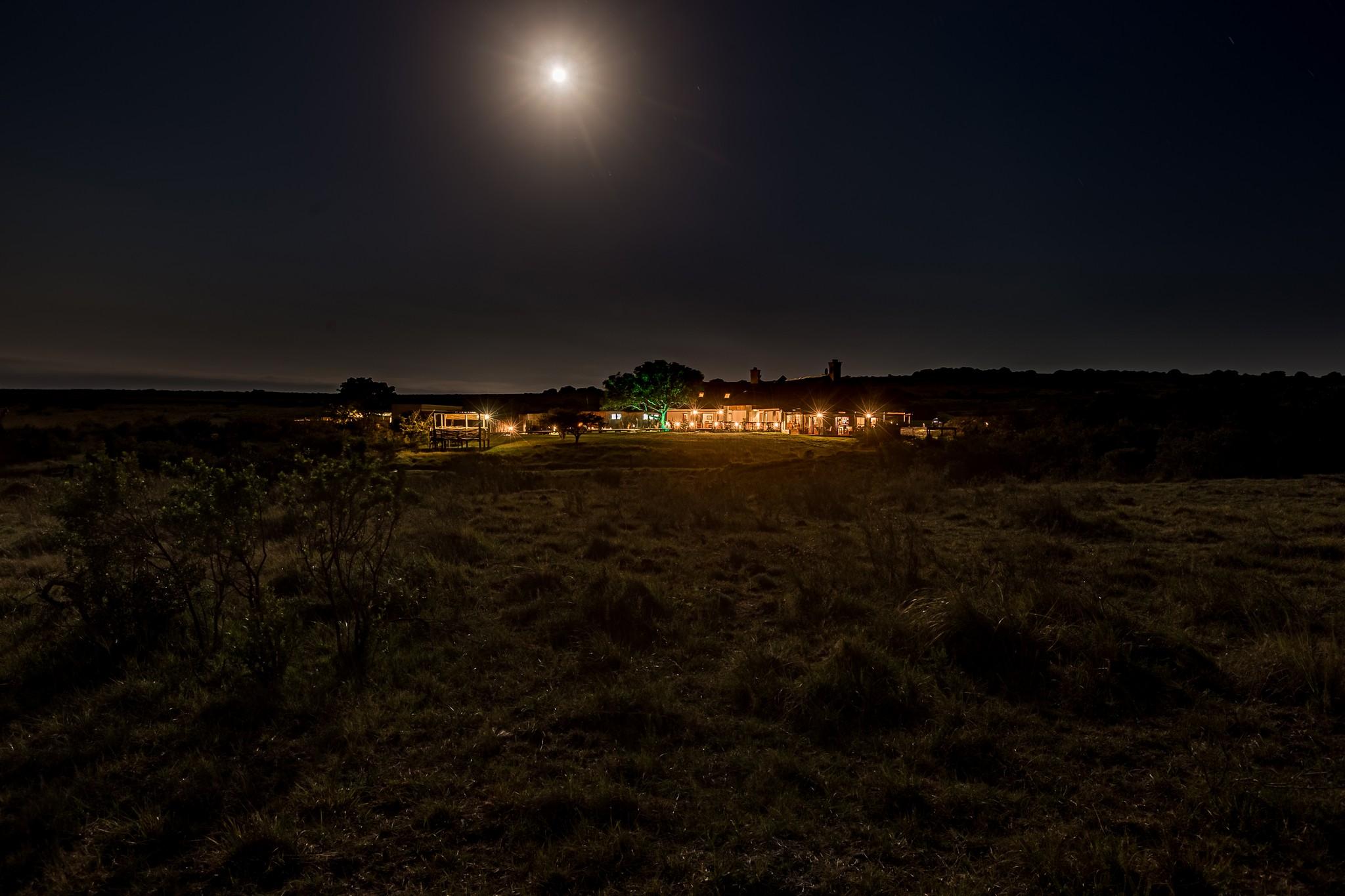 Hlosi Game Lodge - Amakhala Game Reserve Buyskloof Luaran gambar