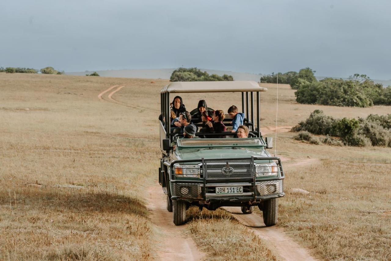 Hlosi Game Lodge - Amakhala Game Reserve Buyskloof Luaran gambar