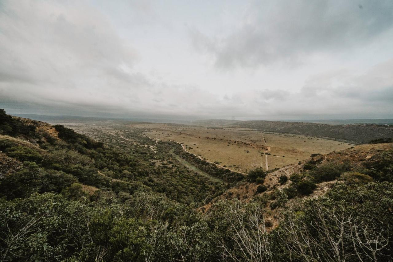 Hlosi Game Lodge - Amakhala Game Reserve Buyskloof Luaran gambar