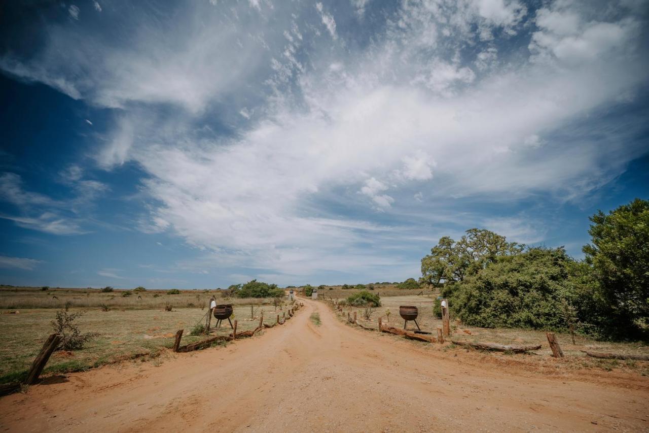 Hlosi Game Lodge - Amakhala Game Reserve Buyskloof Luaran gambar