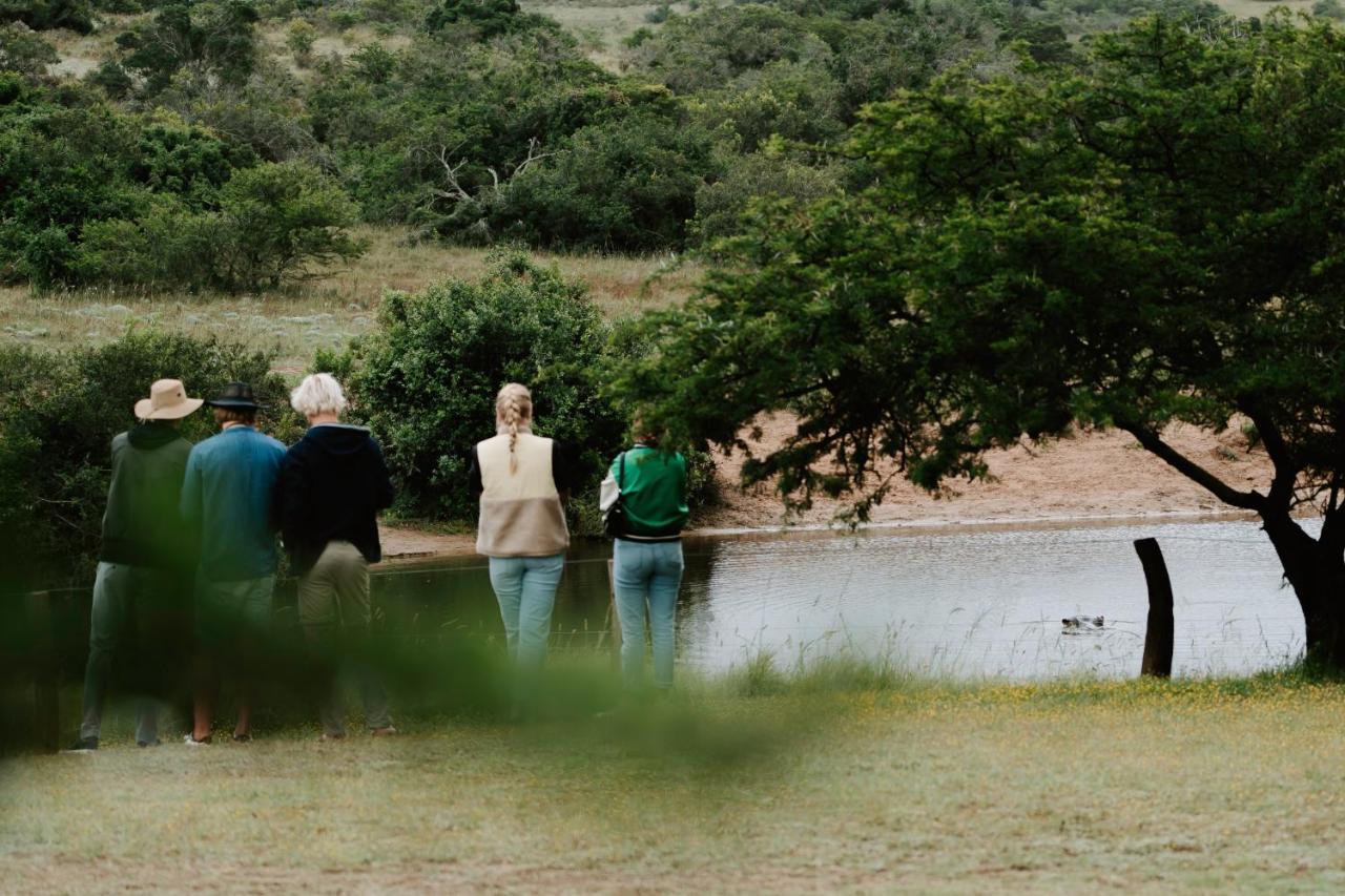 Hlosi Game Lodge - Amakhala Game Reserve Buyskloof Luaran gambar