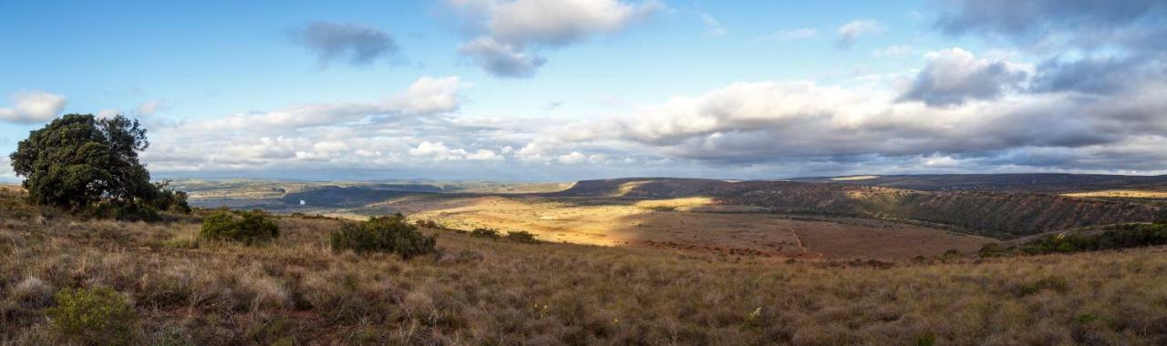 Hlosi Game Lodge - Amakhala Game Reserve Buyskloof Luaran gambar